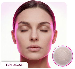 Produse ingrijire ten uscat - skinseen.ro